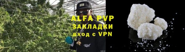 тгк Новозыбков